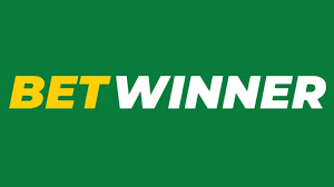 Explore the BetWinner Betting Platform A Complete Guide