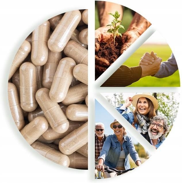 Learn about sanuslim apteka cena